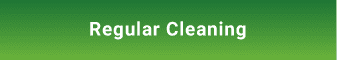 regular cleaning button